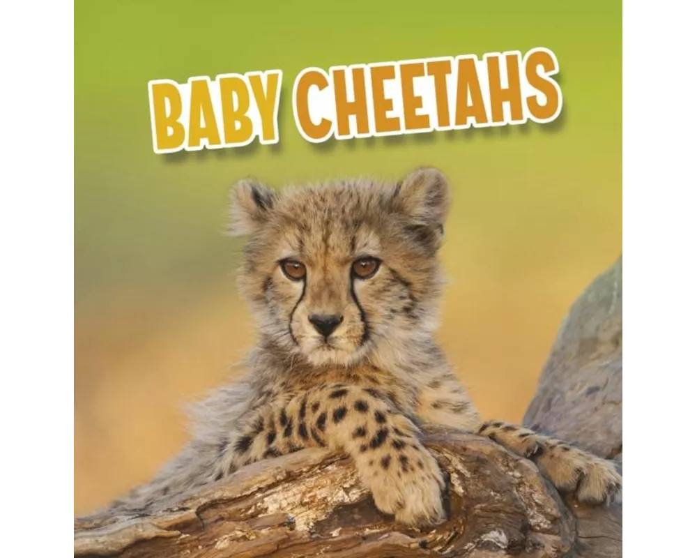 Baby Cheetahs