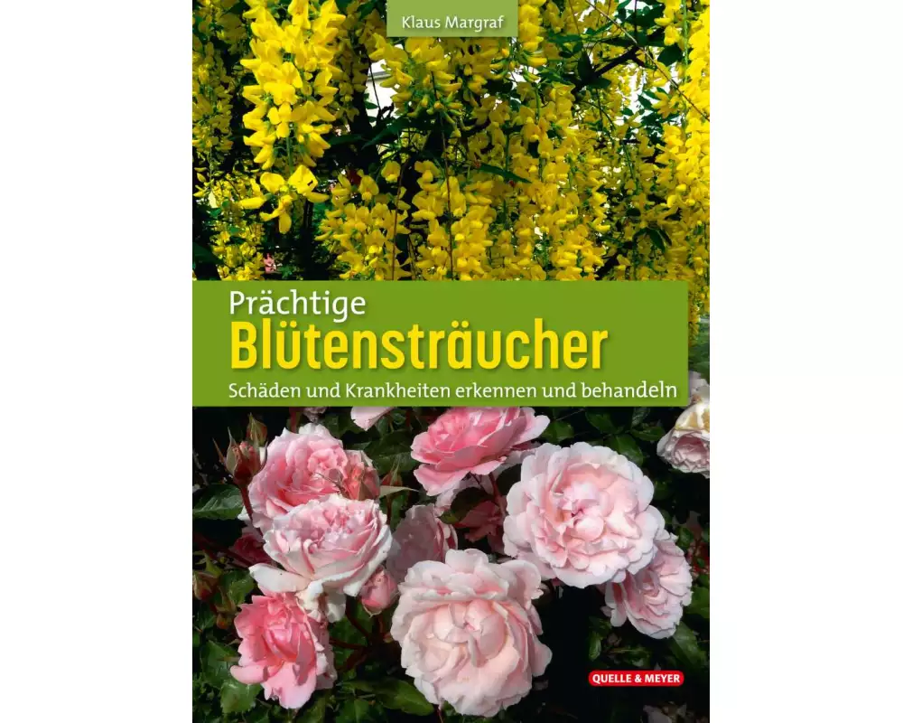 Prächtige Blütensträucher