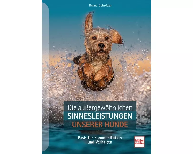 Die außergewöhnlichen Sinnesleistungen unserer Hunde