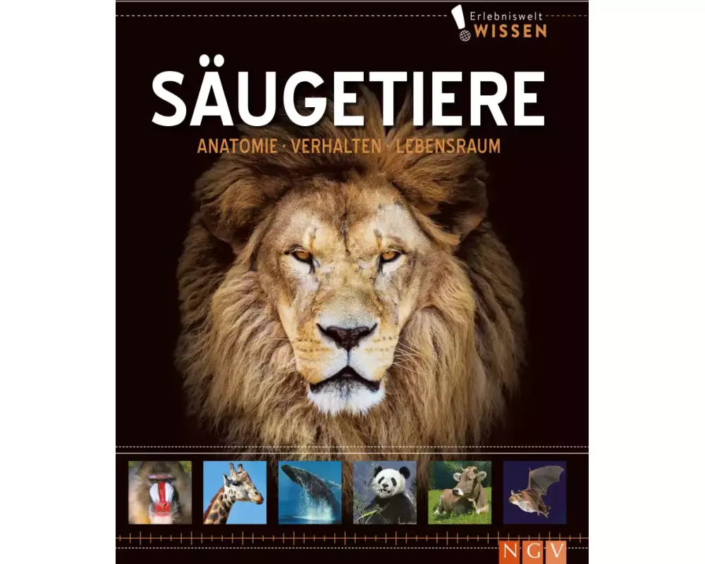 Erlebniswelt Wissen Säugetiere
