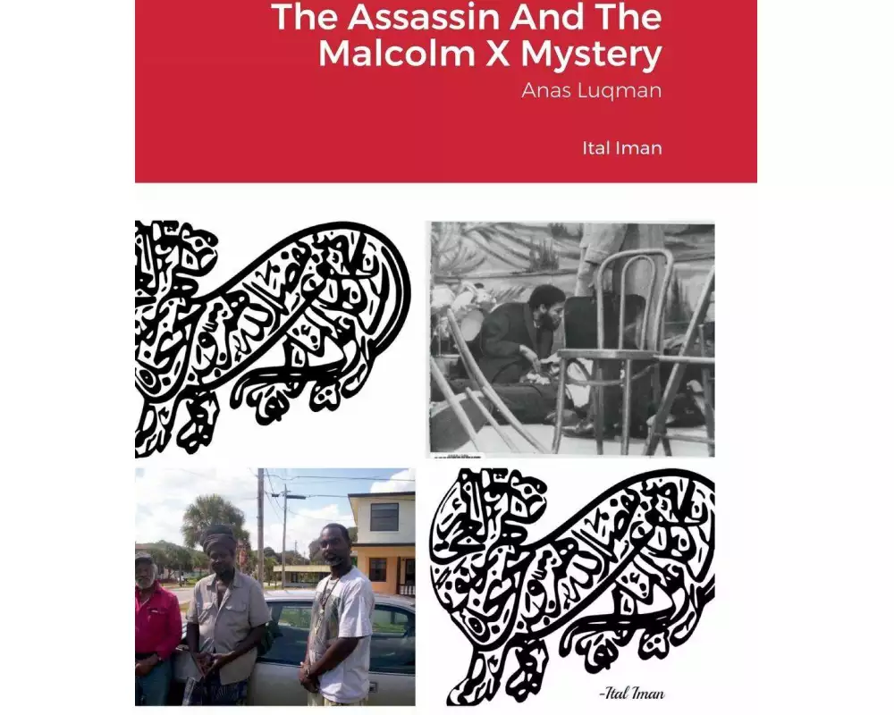 The Assassin And The Malcolm X Mystery