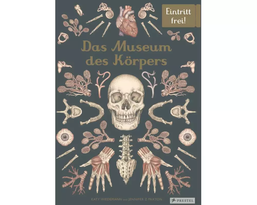 Das Museum des Körpers