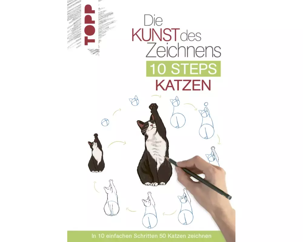 Die Kunst des Zeichnens 10 Steps - Katzen