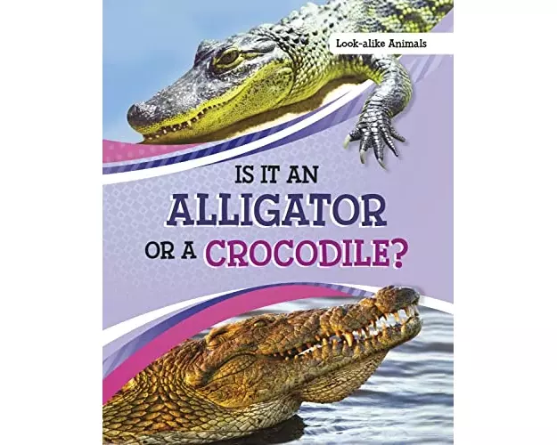 Is It an Alligator or a Crocodile?