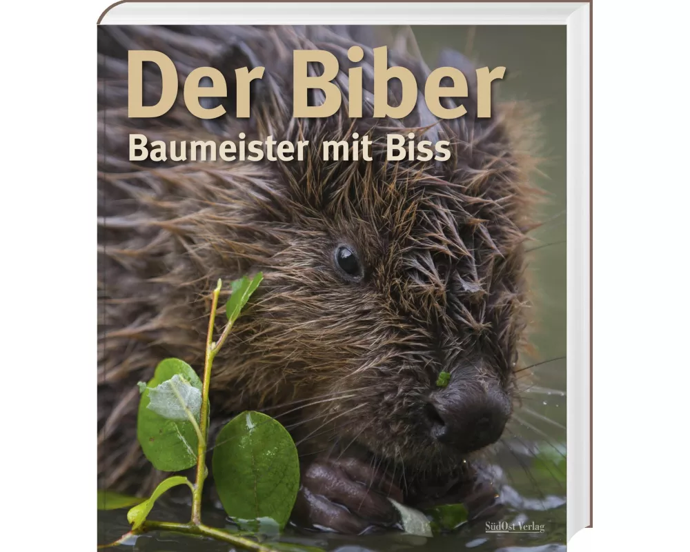 Der Biber