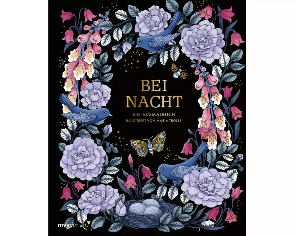 Bei Nacht – Ein Ausmalbuch
