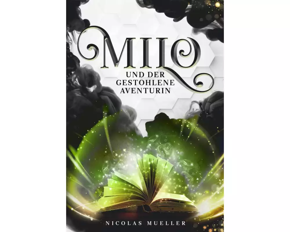 Milo und der gestohlene Aventurin