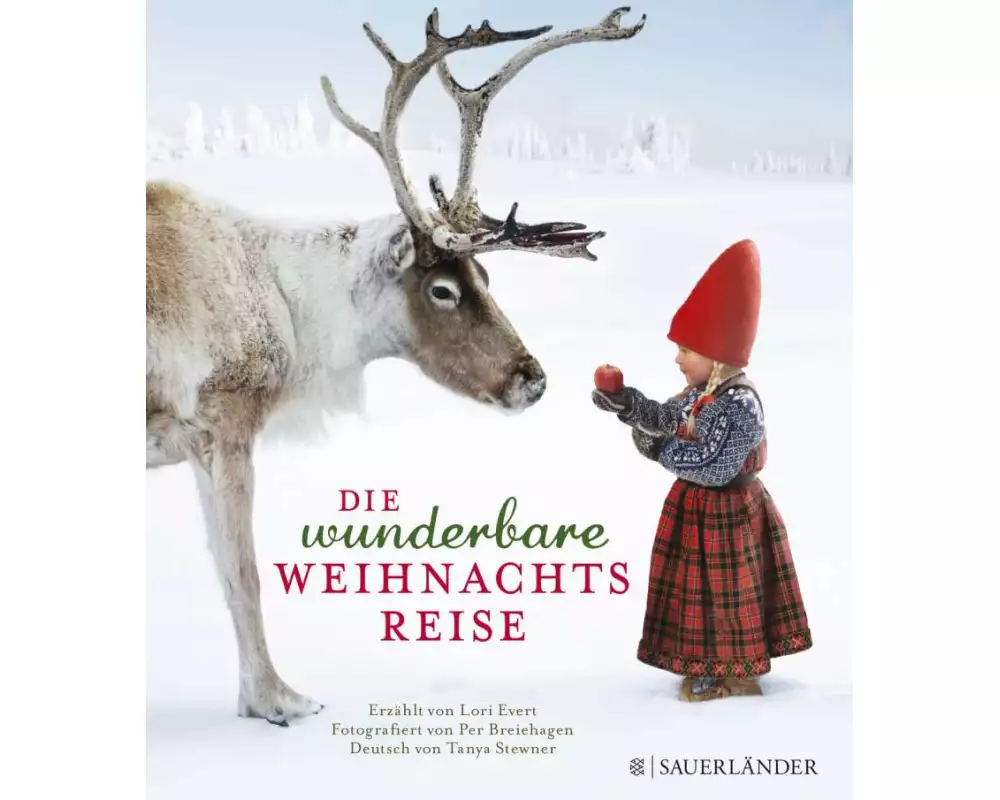 Die wunderbare Weihnachtsreise