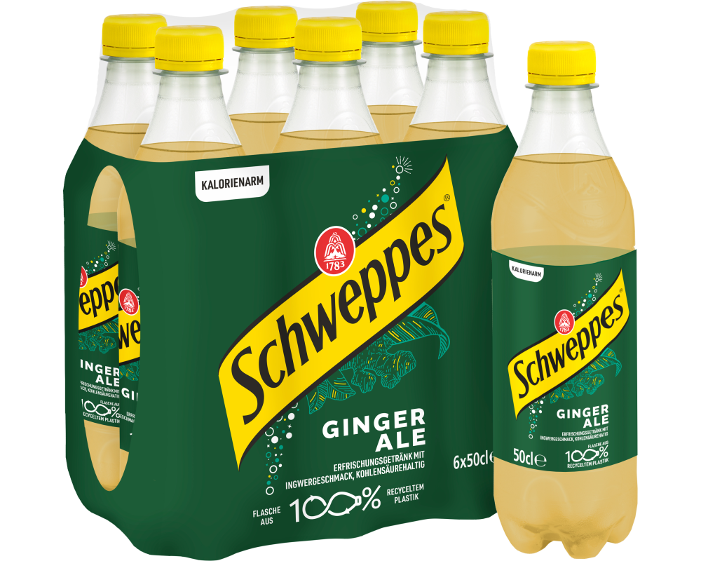 SCHWEPPES Ginger Ale Pet 2368 50 cl, 6 Stk.