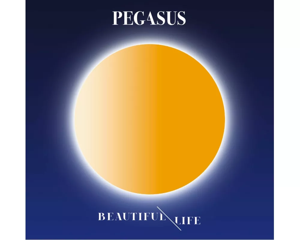 Beautiful Life