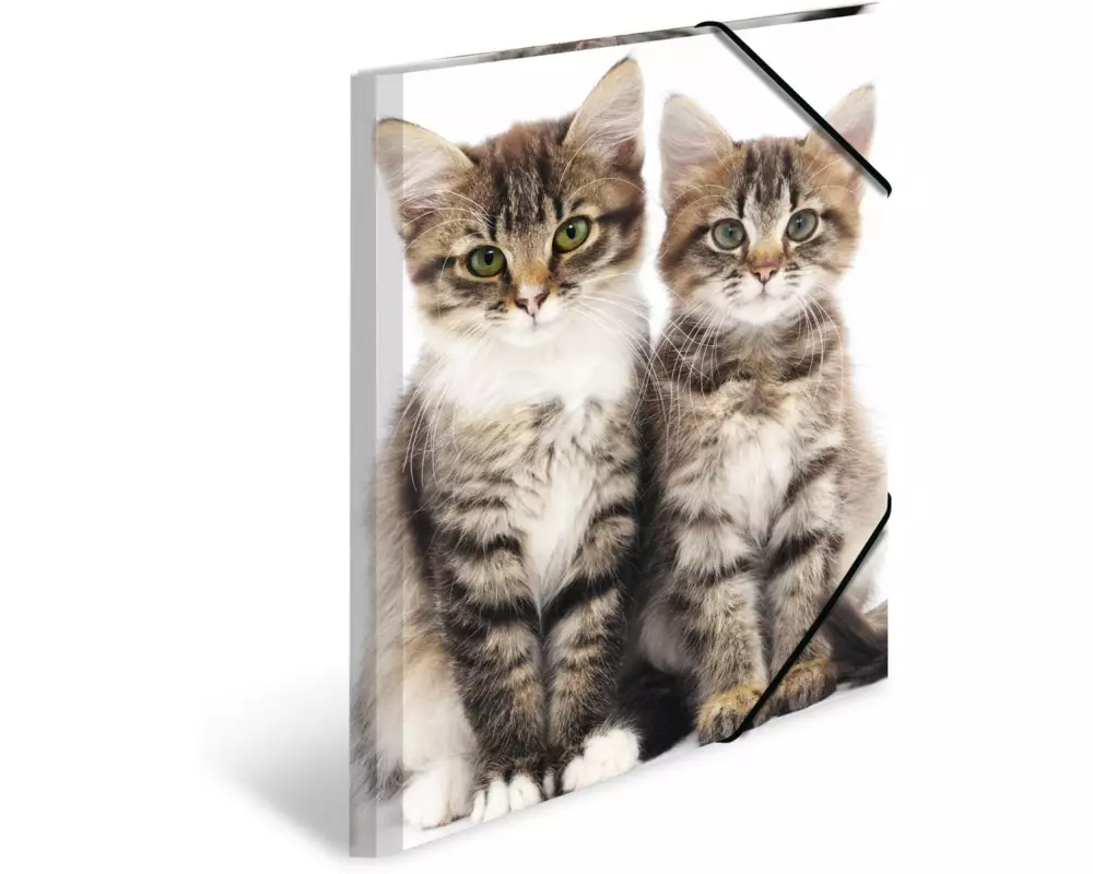 HERMA Gummibandmappe A3 Katzen, Polypropylen, mit Innendruck