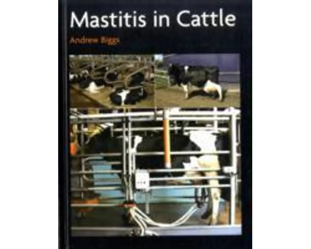 Mastitis In Cattle
