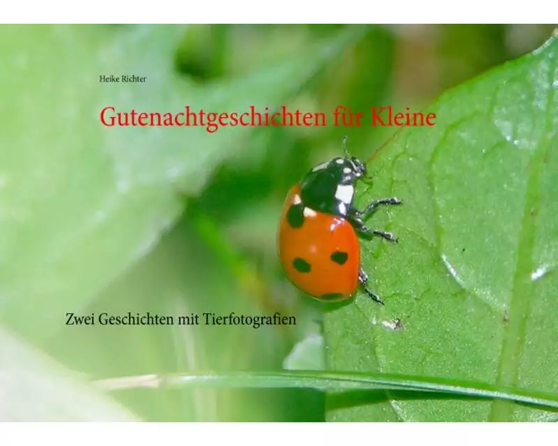 Gutenachtgeschichten für Kleine