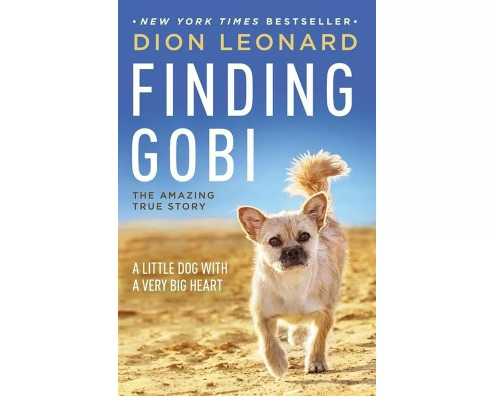 Finding Gobi