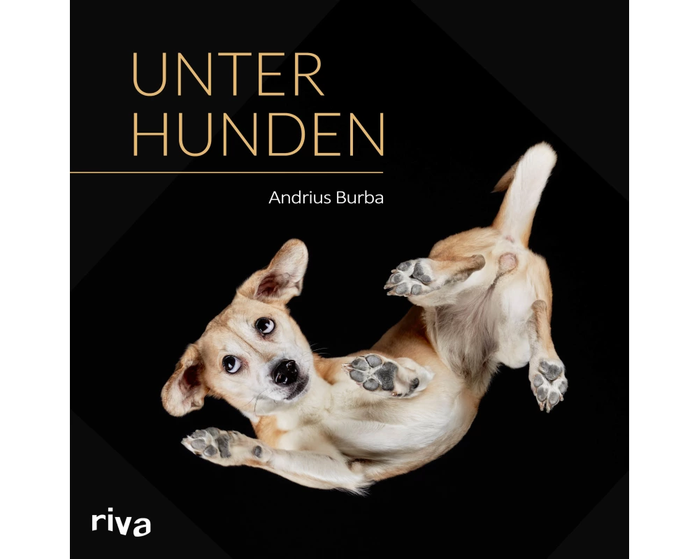 Unter Hunden