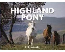 Spirit of the Highland Pony