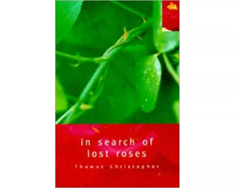 In Search of Lost Roses