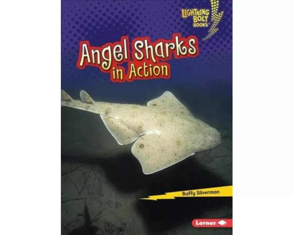 Angel Sharks in Action