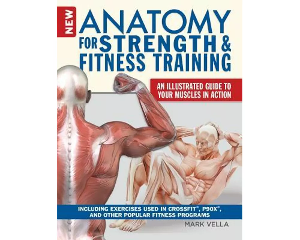 Anatomy for Strength and Fitness Training