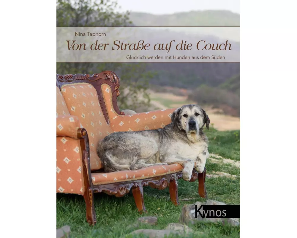 Von der Straße auf die Couch