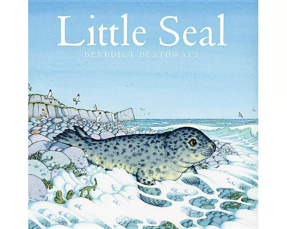 Little Seal