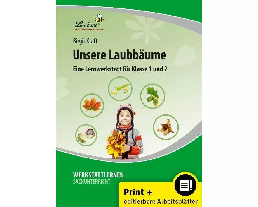 Unsere Laubbäume. Grundschule, Sachunterricht, Klasse 1-2