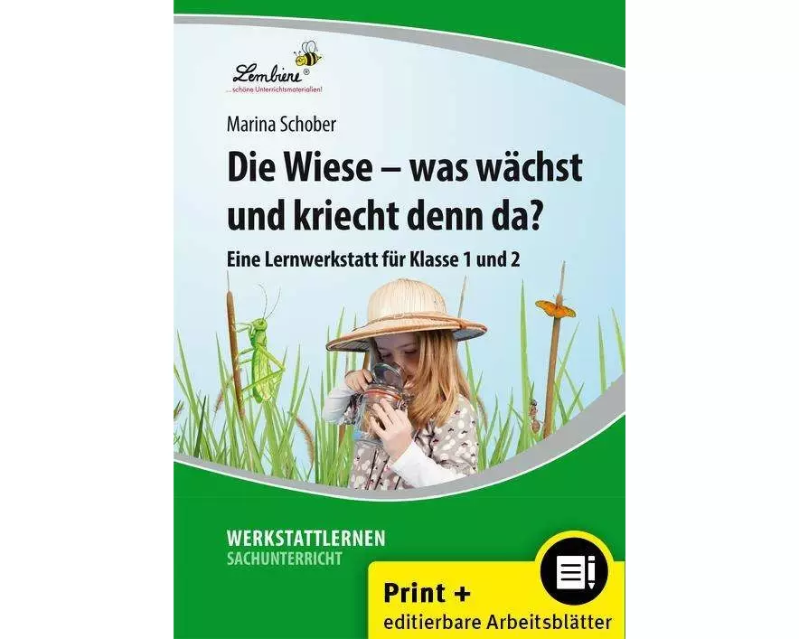 Die Wiese - was wächst und kriecht denn da?