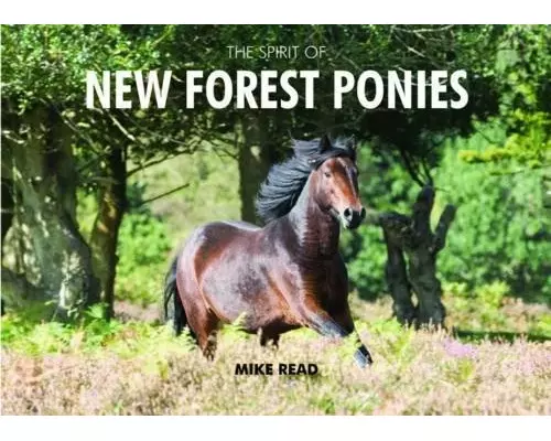The Spirit of New Forest Ponies