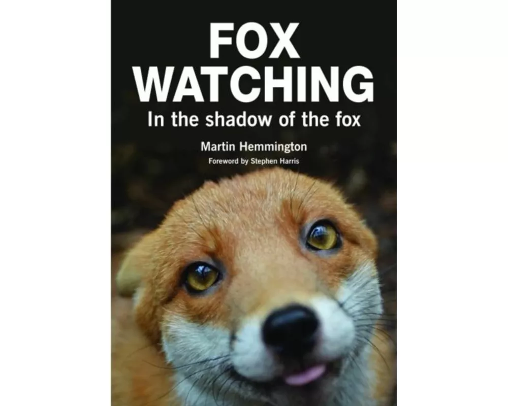 Fox Watching