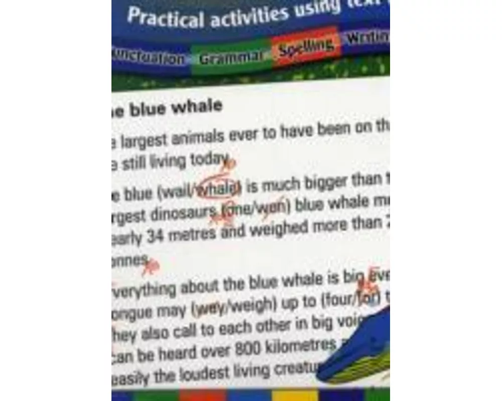 Proofreading and Editing Skills