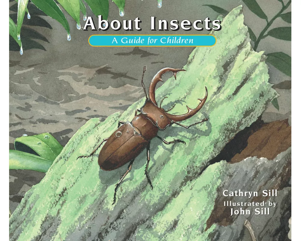 About Insects