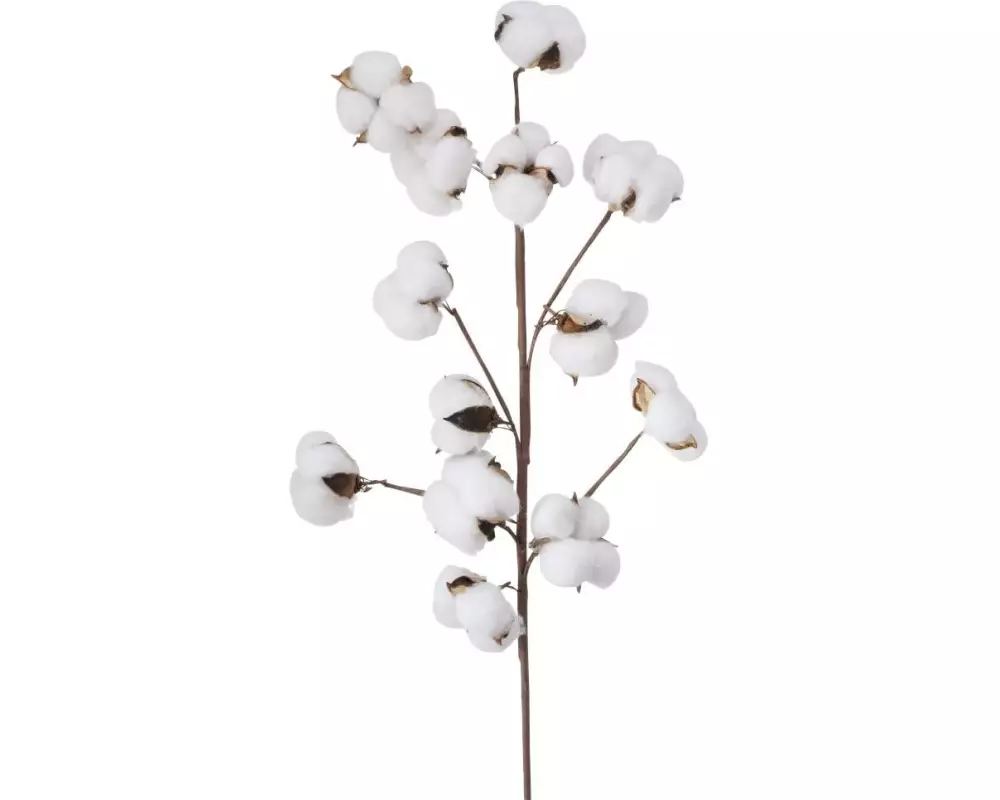 Boltze Kunstblume Baumwolle 68 cm