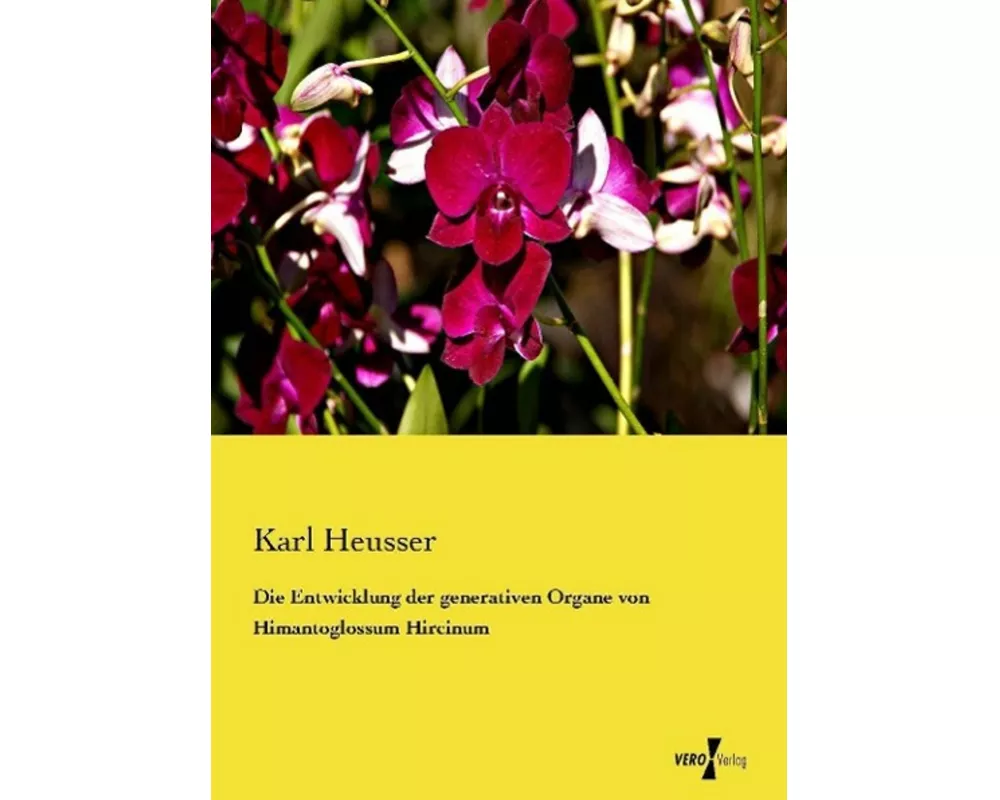 Die Entwicklung der generativen Organe von Himantoglossum Hircinum