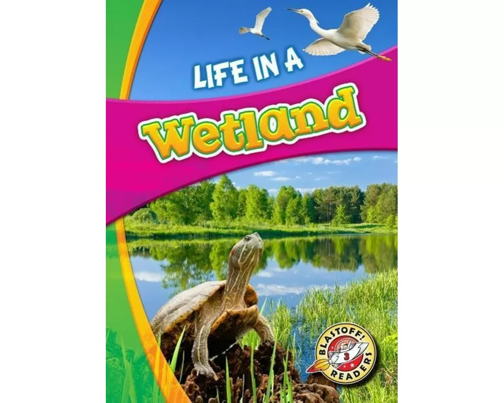 Life in a Wetland