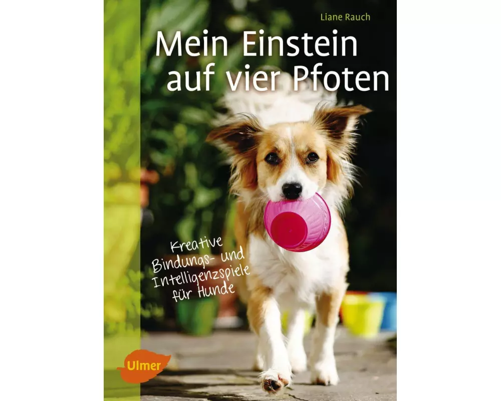 Mein Einstein auf vier Pfoten