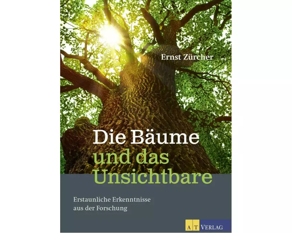 Die Bäume und das Unsichtbare
