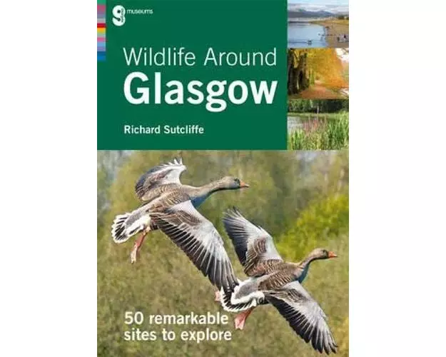 Wildlife Around Glasgow