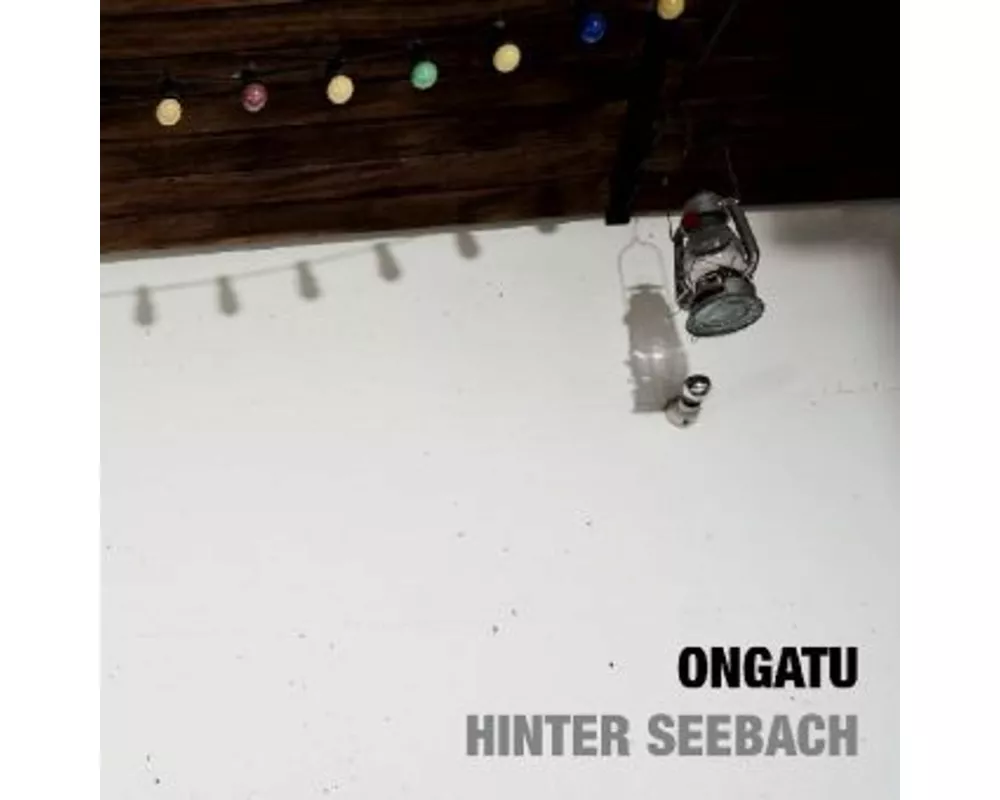 Hinter Seebach