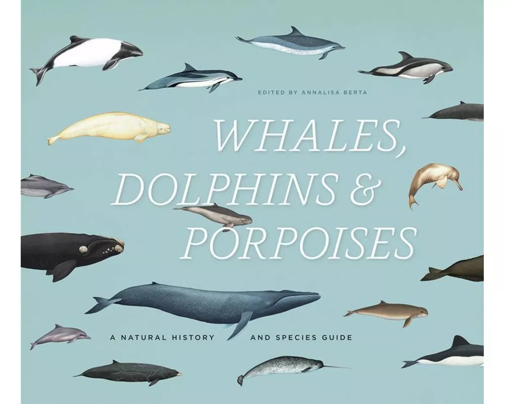 Whales, Dolphins & Porpoises