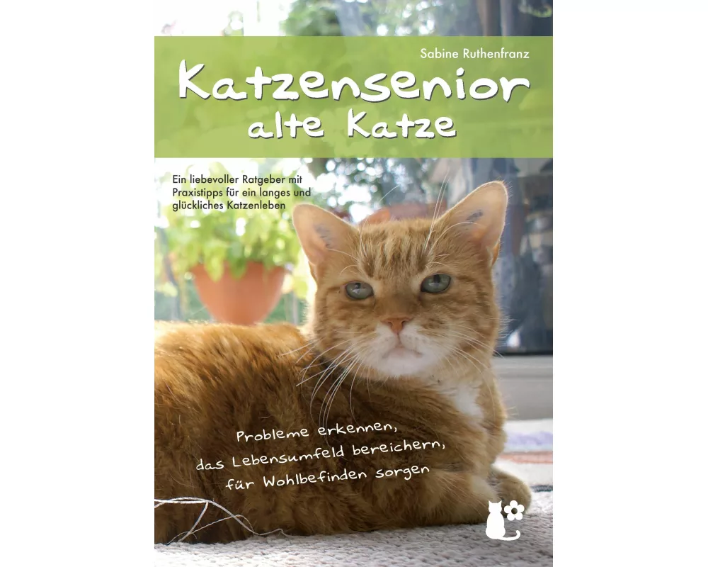 Katzensenior - alte Katze