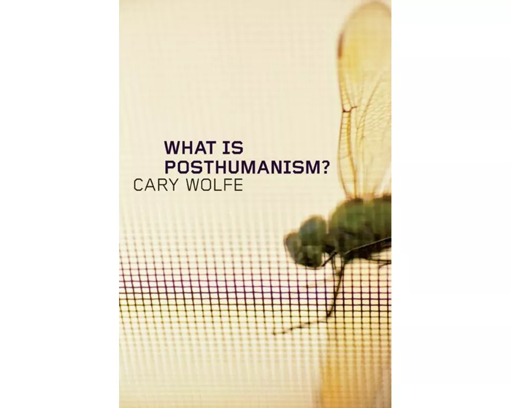 What is Posthumanism?