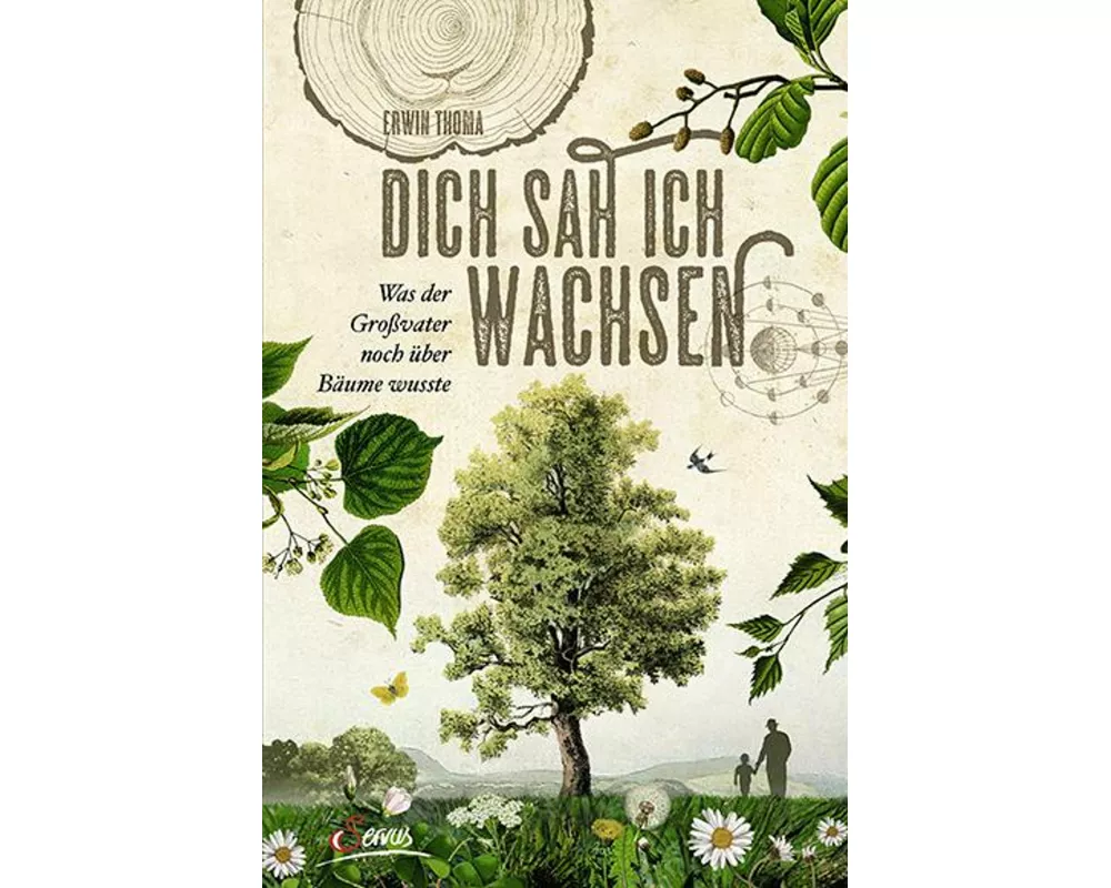 Dich sah ich wachsen