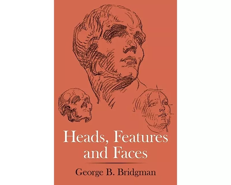 Heads, Features and Faces