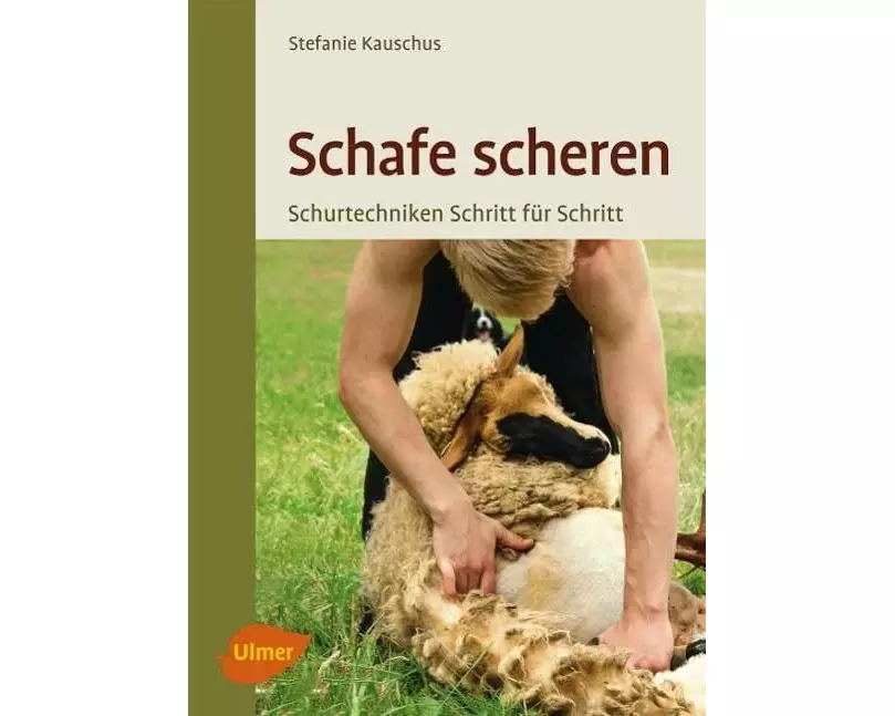 Schafe scheren
