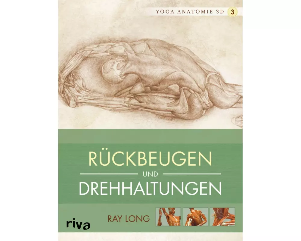 Yoga-Anatomie 3D