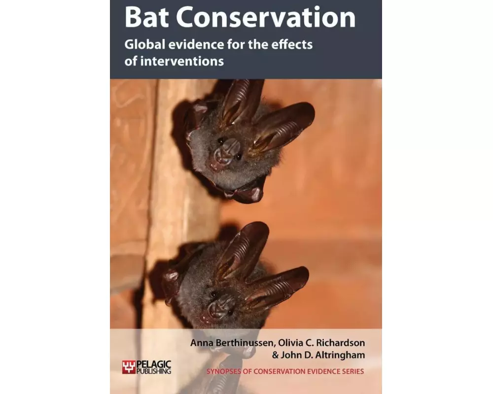 Bat Conservation