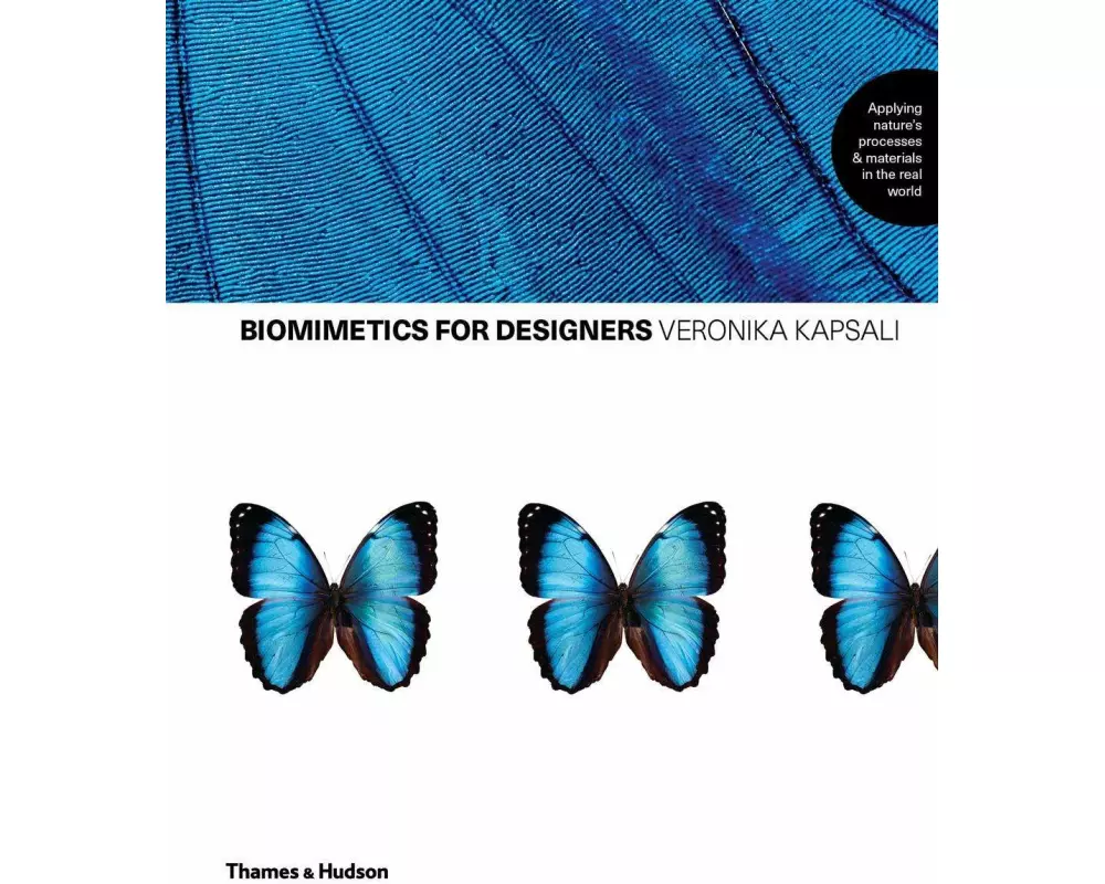 Biomimicry for Designers