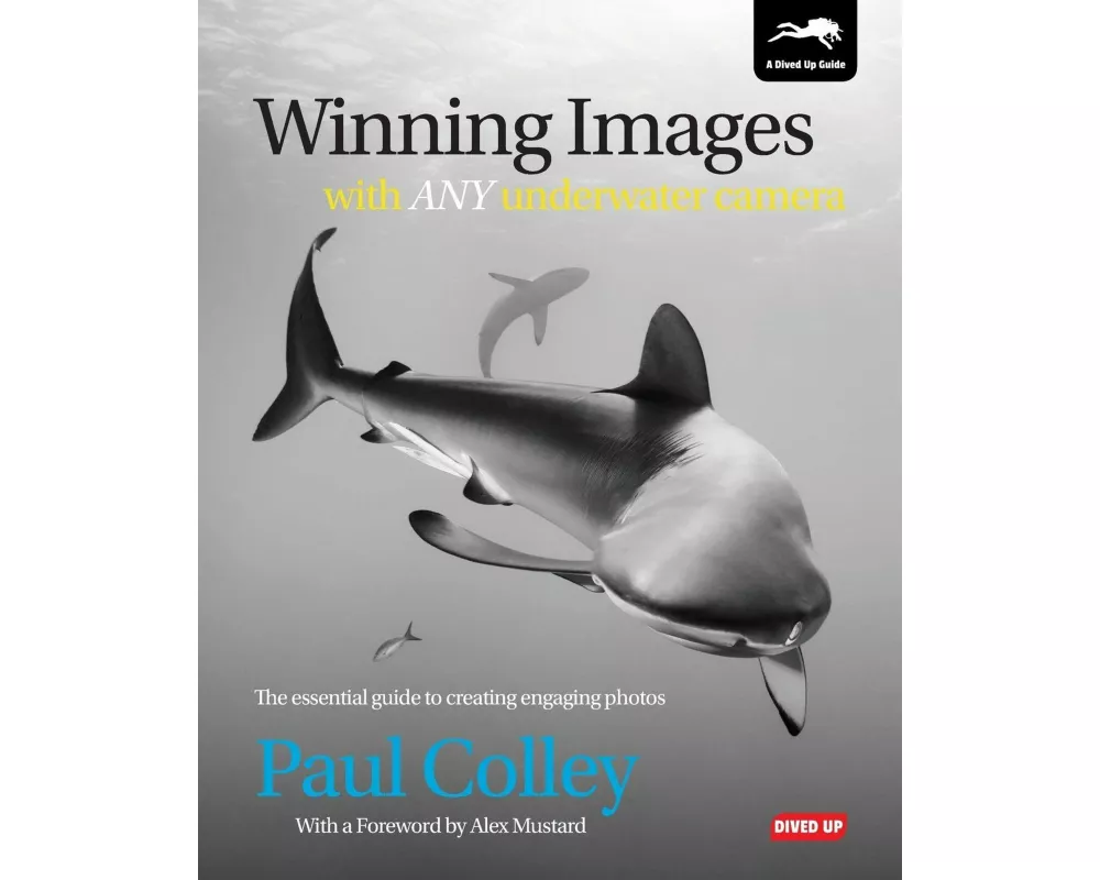 Winning Images with Any Underwater Camera
