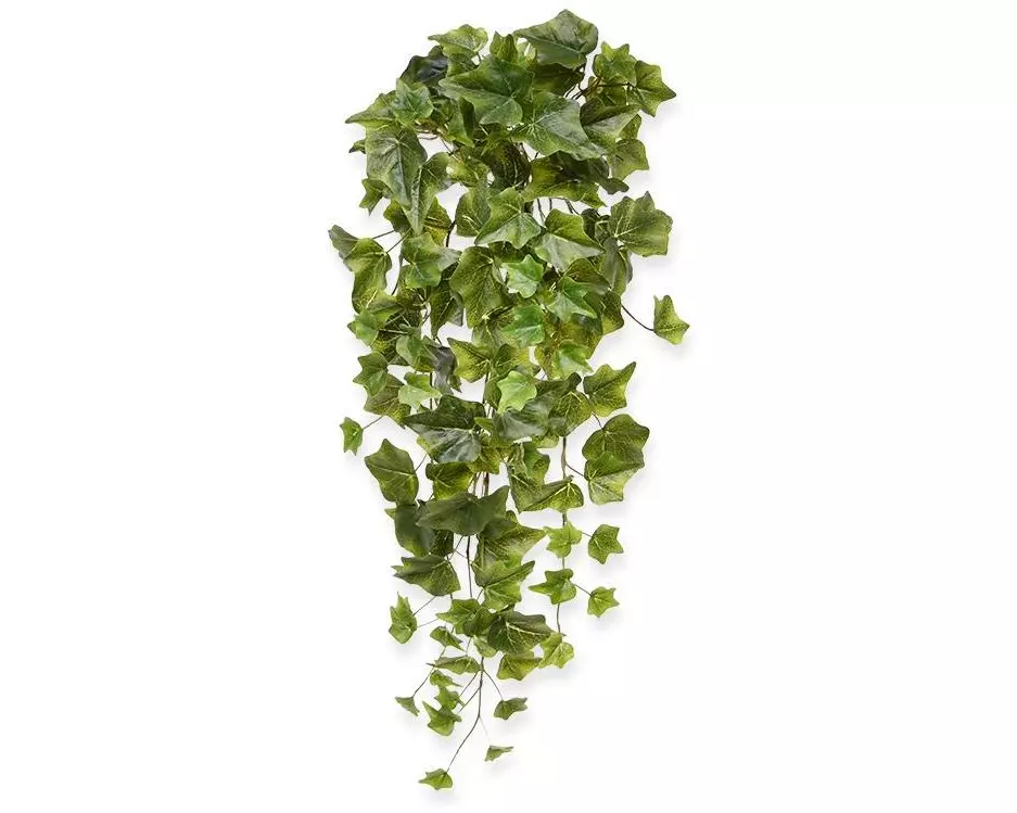 Botanic-Haus Kunstpflanze Efeu Hängepflanze Grün, 65 cm