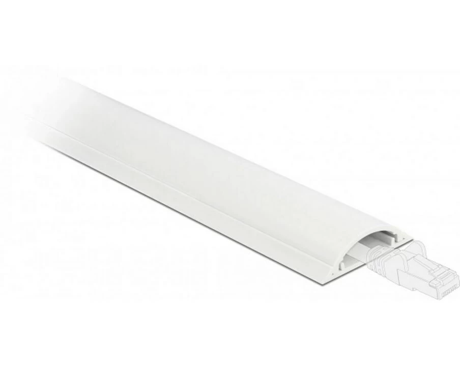 Delock Kabelkanal 1 m x 50 mm Weiss